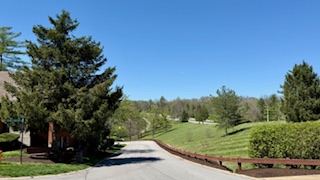 IMG 2075